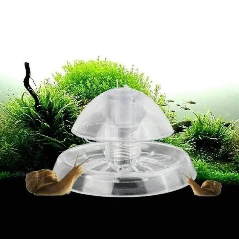 Aquaponics Fish Tank - 2026 New 6/8CM Clear Plastic Snail
