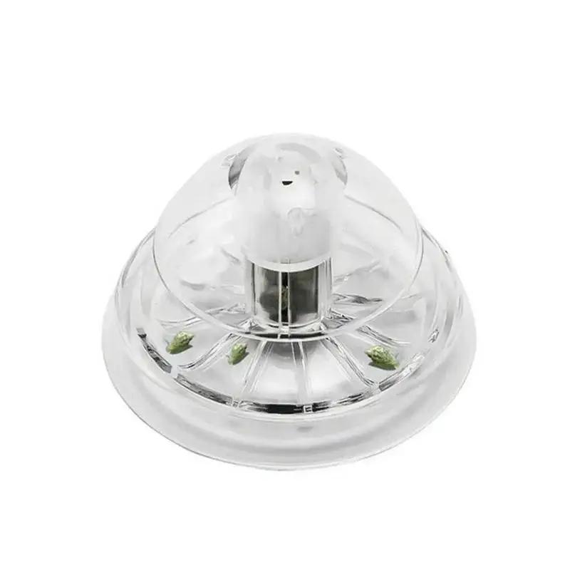 2026 New 6/8CM Clear Plastic S - Aquaponics Fish Tank ulasan dan harga