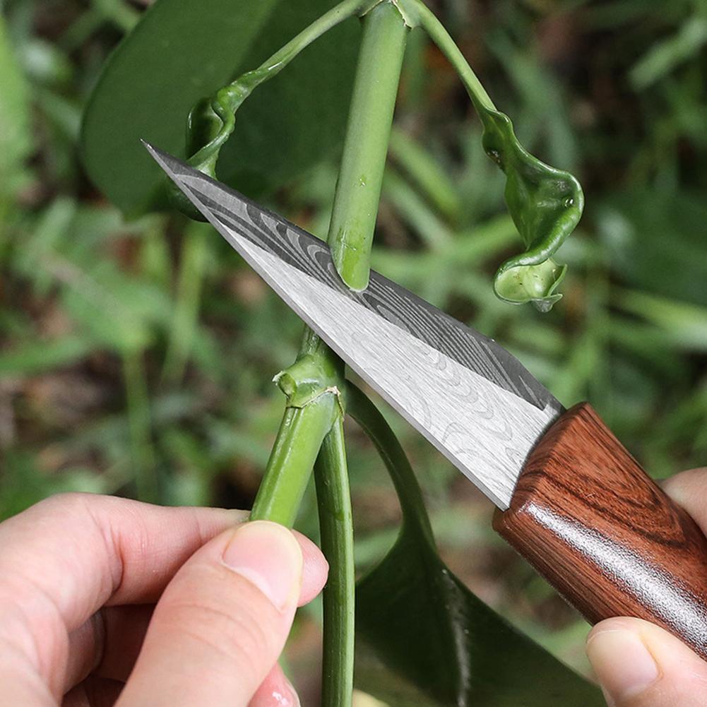 Grafting Knife Grafting Tools  - Harvest Knife Garden ulasan dan harga