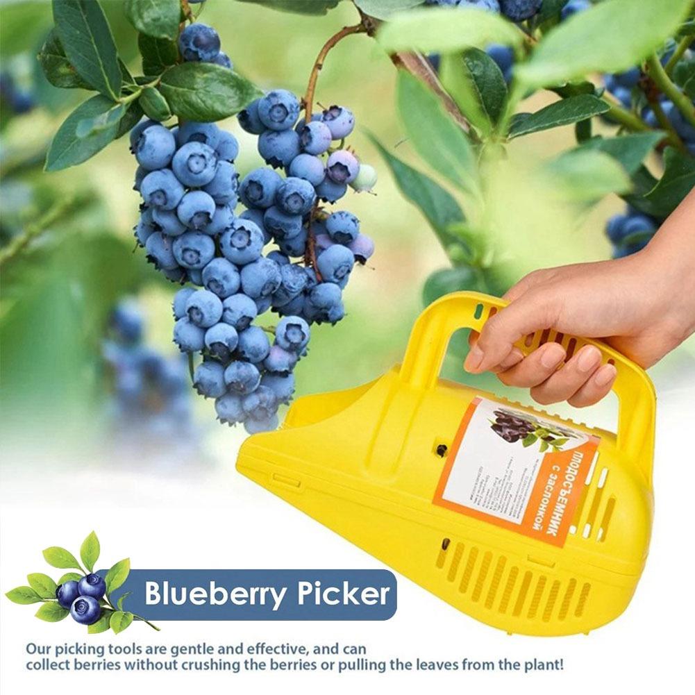 Easy-Grip Blueberry Picker Too - Gardening Tools You Must Have ulasan dan harga