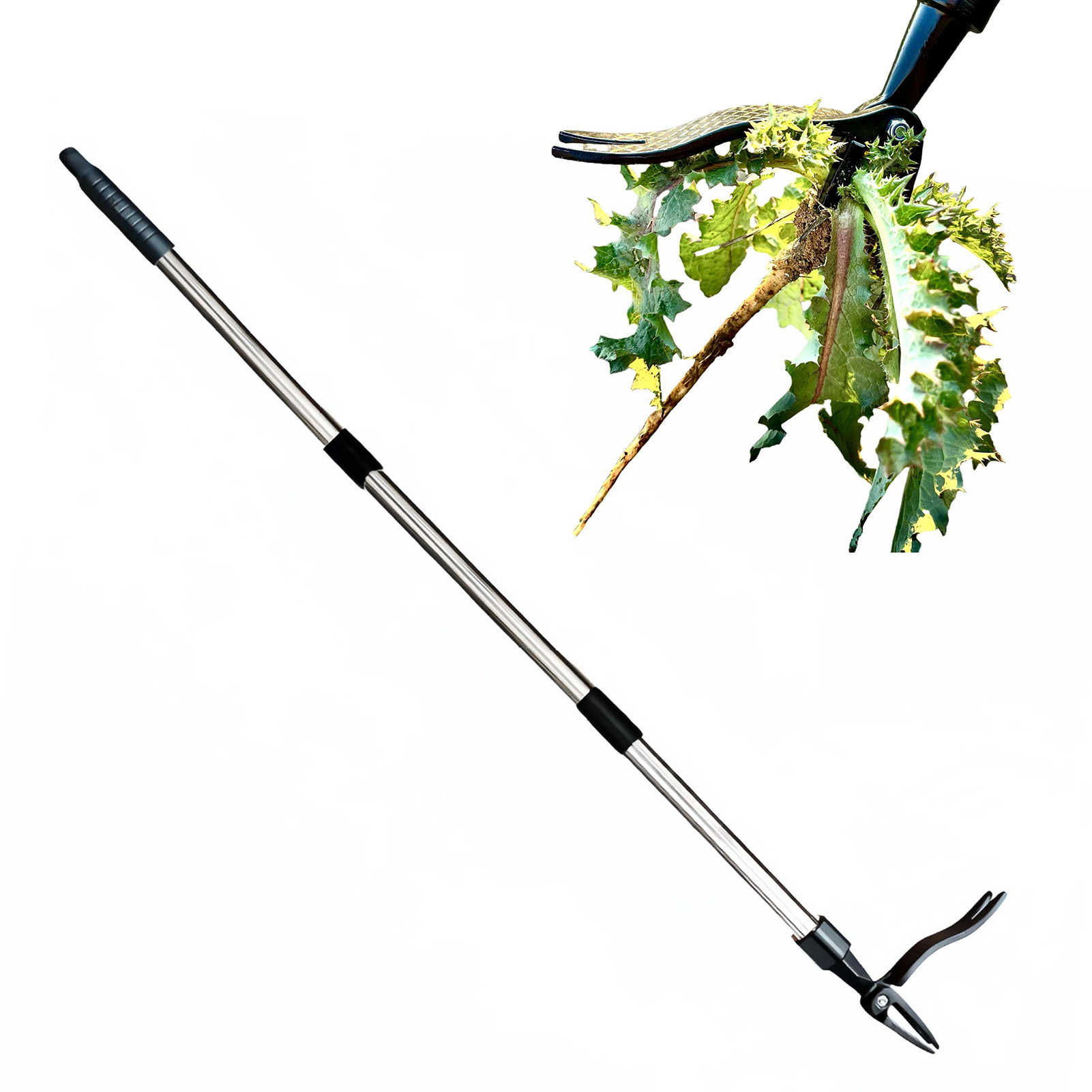 4 Claw Stand Up Weed Puller St - Grass Seed Spreader ulasan dan harga