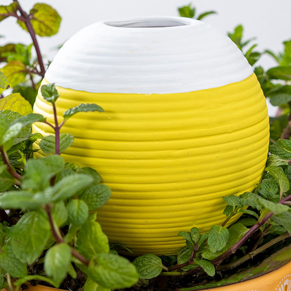 Ceramics Automatic Plant Water - Gardening Tools You Must Have ulasan dan harga