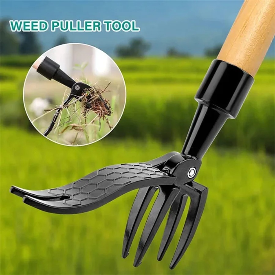 Stand Up Weed Puller Tool with - Grass Seed Spreader ulasan dan harga