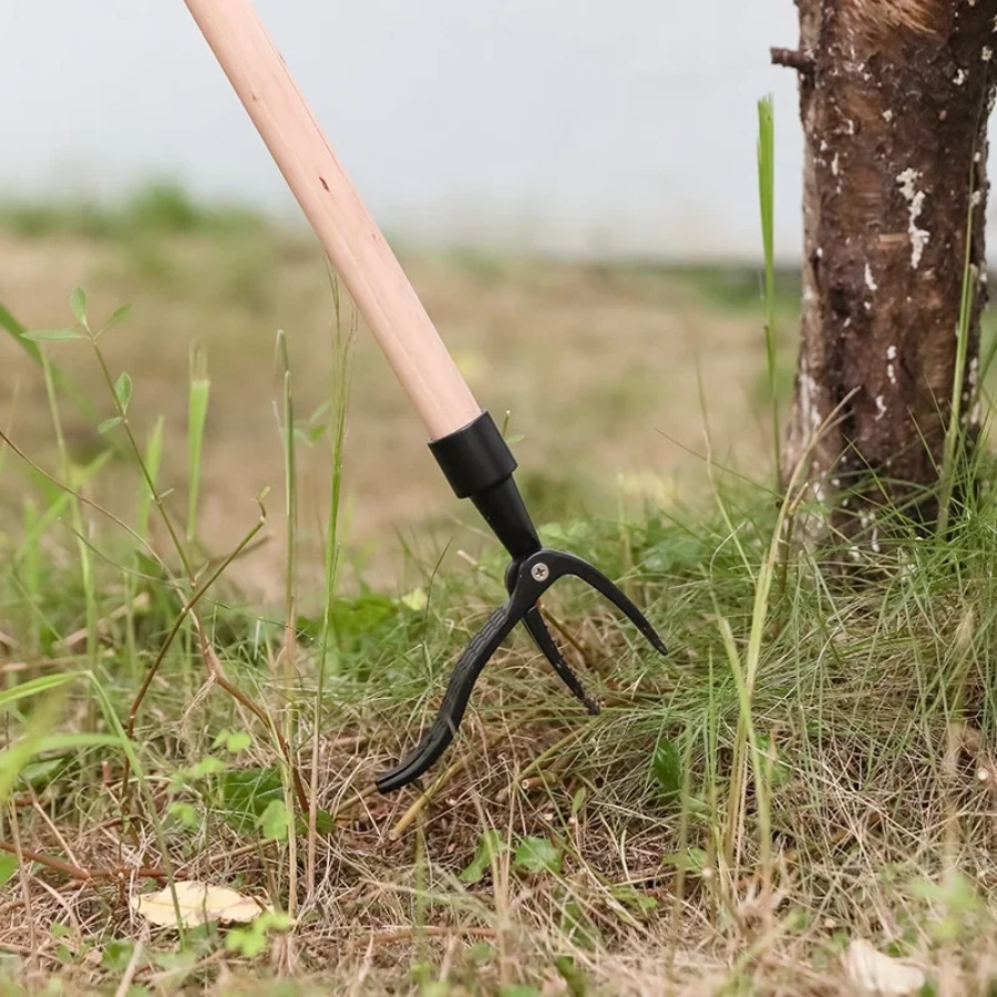 Stand Up Weed Puller Tool with - Grass Seed Spreader ulasan dan harga
