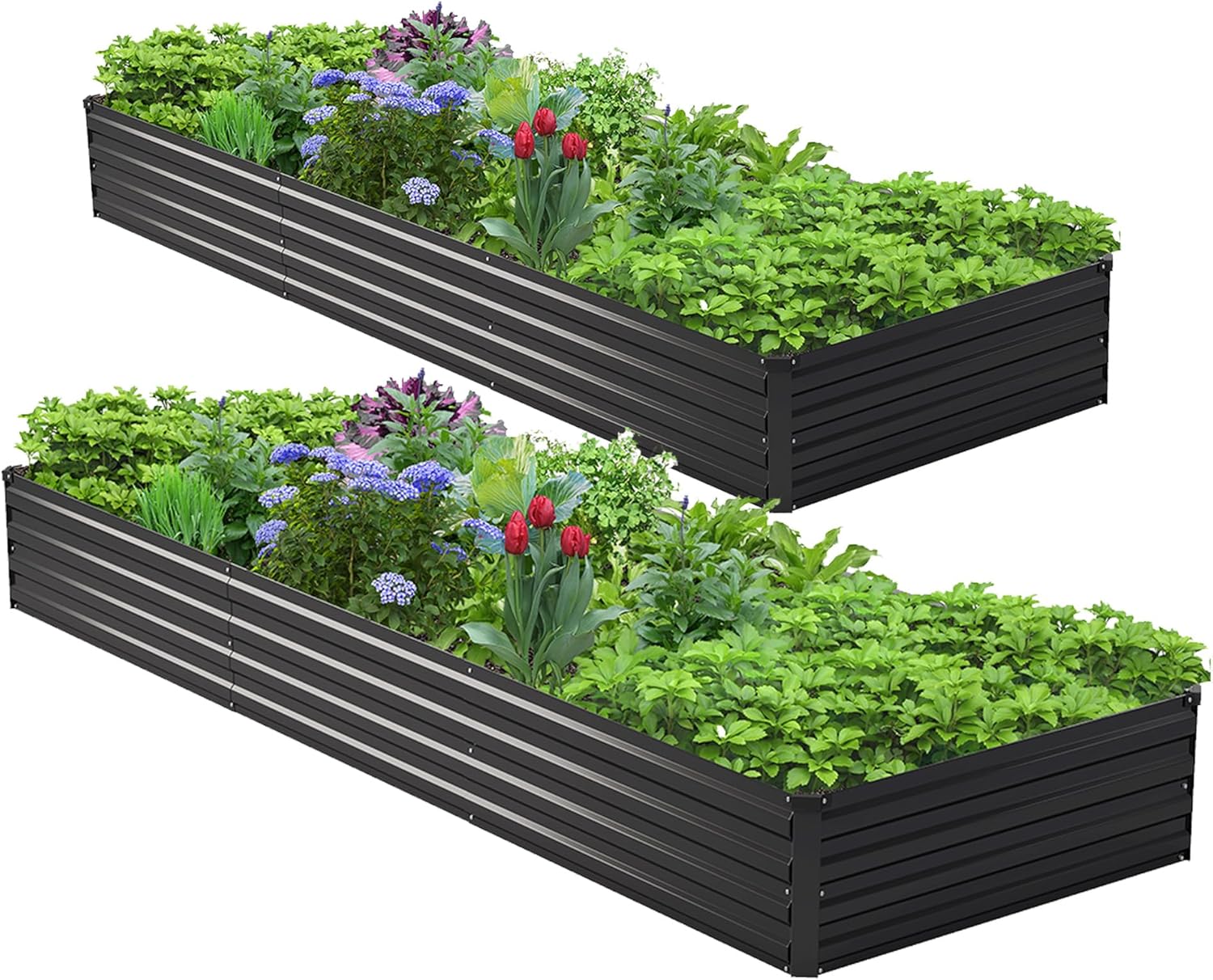 2PCS 10x3x1ft Galvanized Raise - Raised Bed Planter Box ulasan dan harga