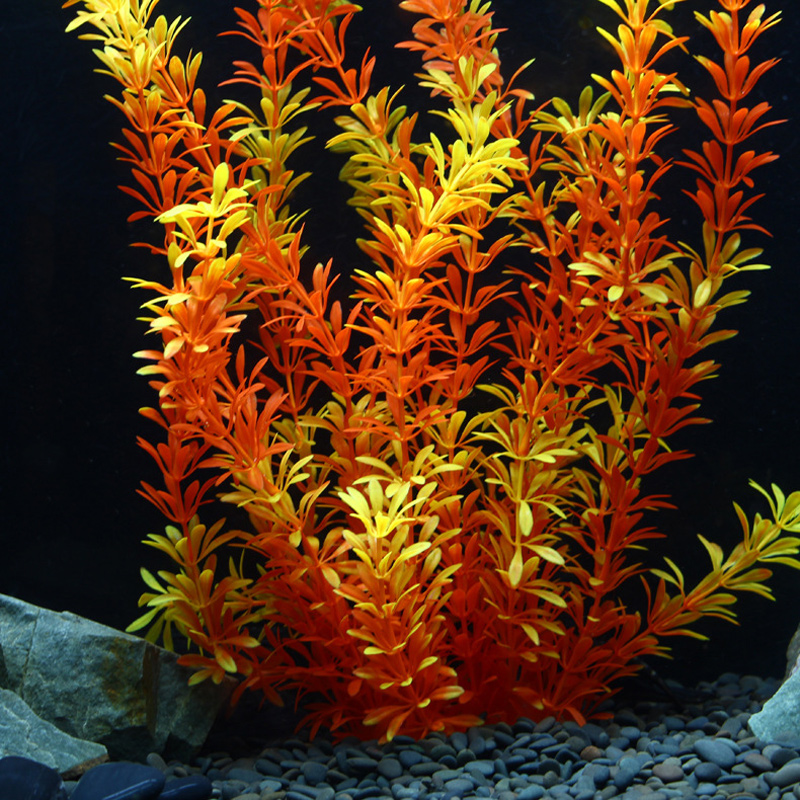 100cm Tropical Plants Large Ar - Aquaponics Fish Tank ulasan dan harga