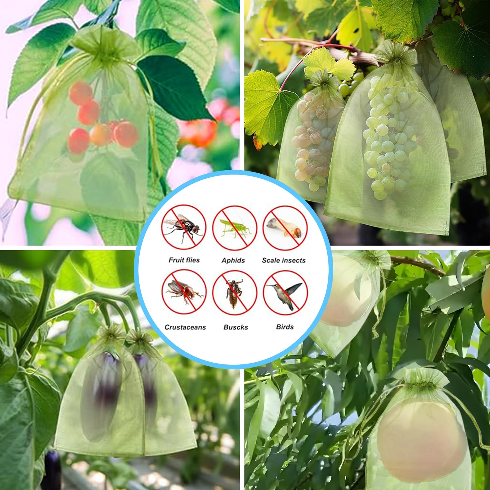 Effective Anti-Bird Netting Fr - Outdoor Planting Bag ulasan dan harga