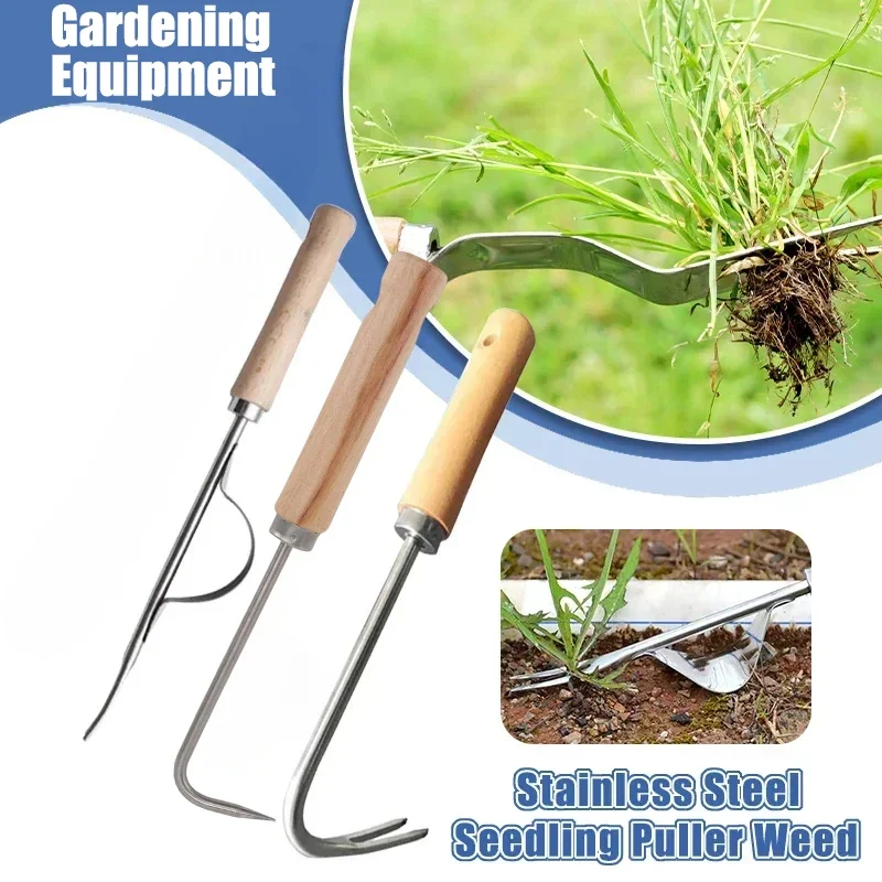 Stainless Steel Gardening Weed - Grass Seed Spreader ulasan dan harga