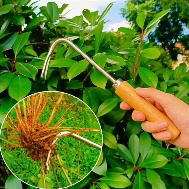 Stainless Steel Gardening Weed - Grass Seed Spreader ulasan dan harga