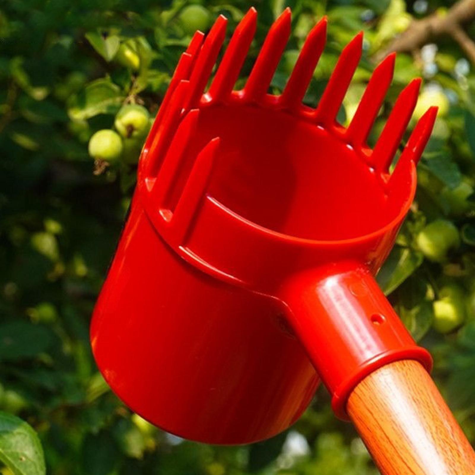 Fruit Harvester Tool Thickened - Gardening Tools Long ulasan dan harga