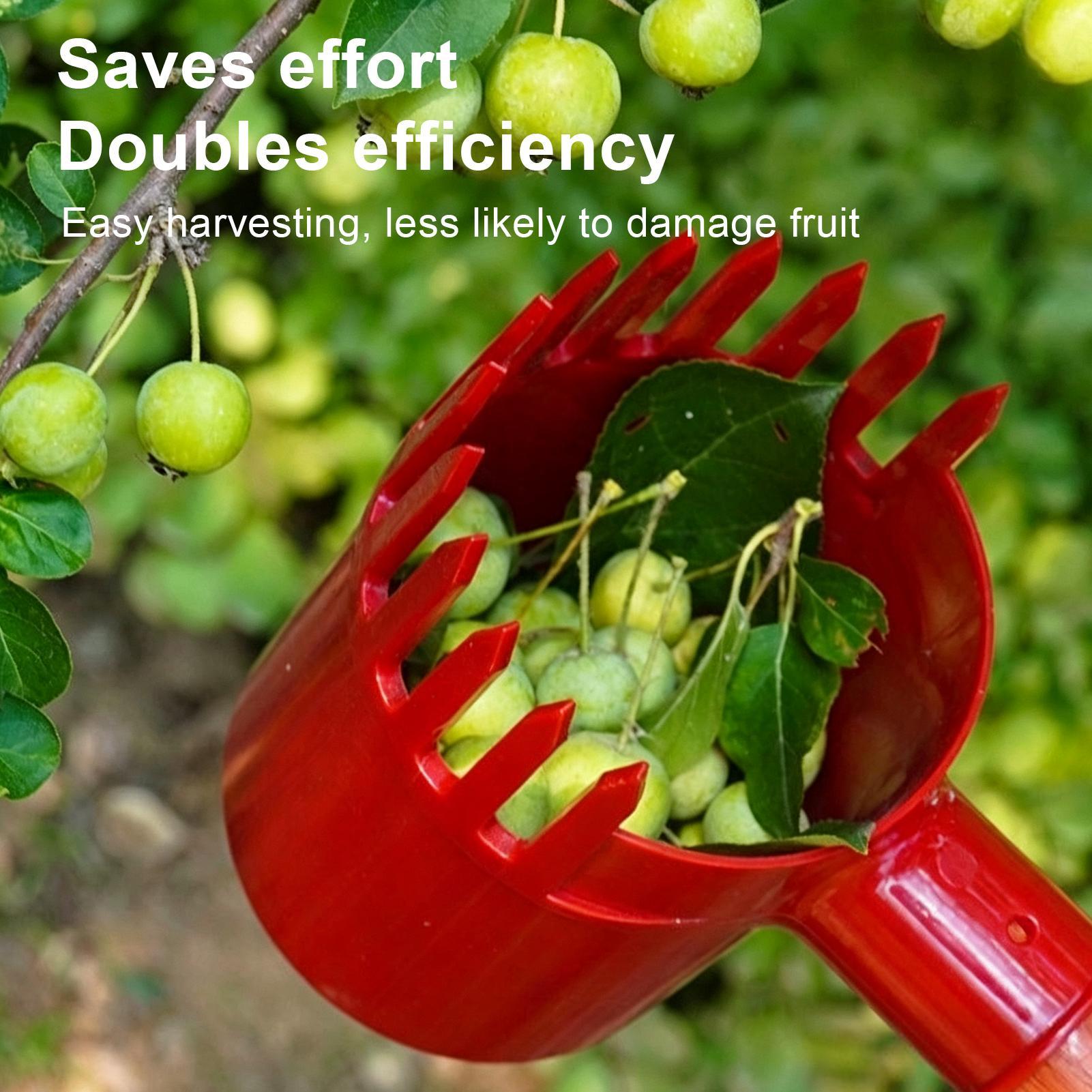 Fruit Harvester Tool Thickened - Gardening Tools Long ulasan dan harga
