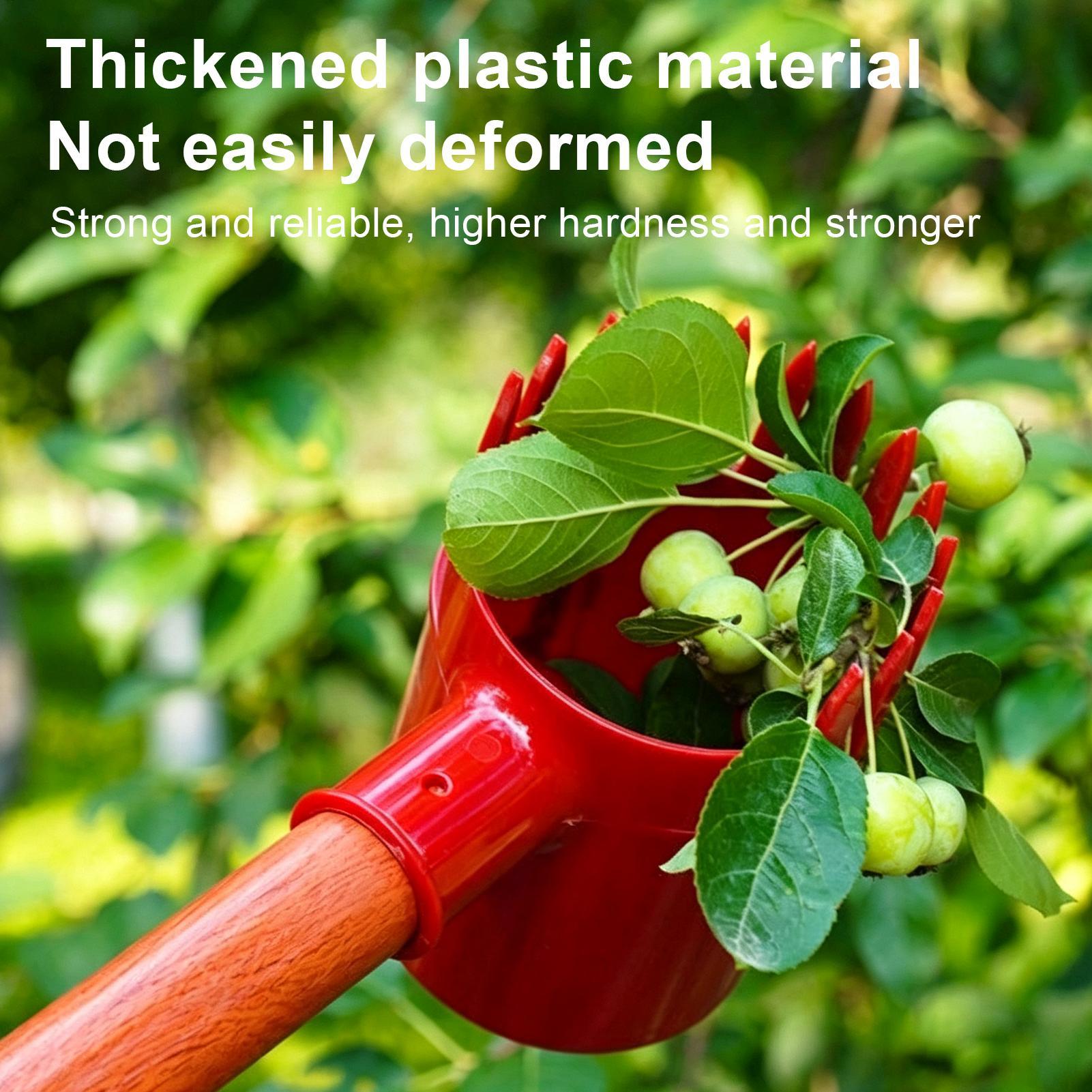 Fruit Harvester Tool Thickened - Gardening Tools Long ulasan dan harga