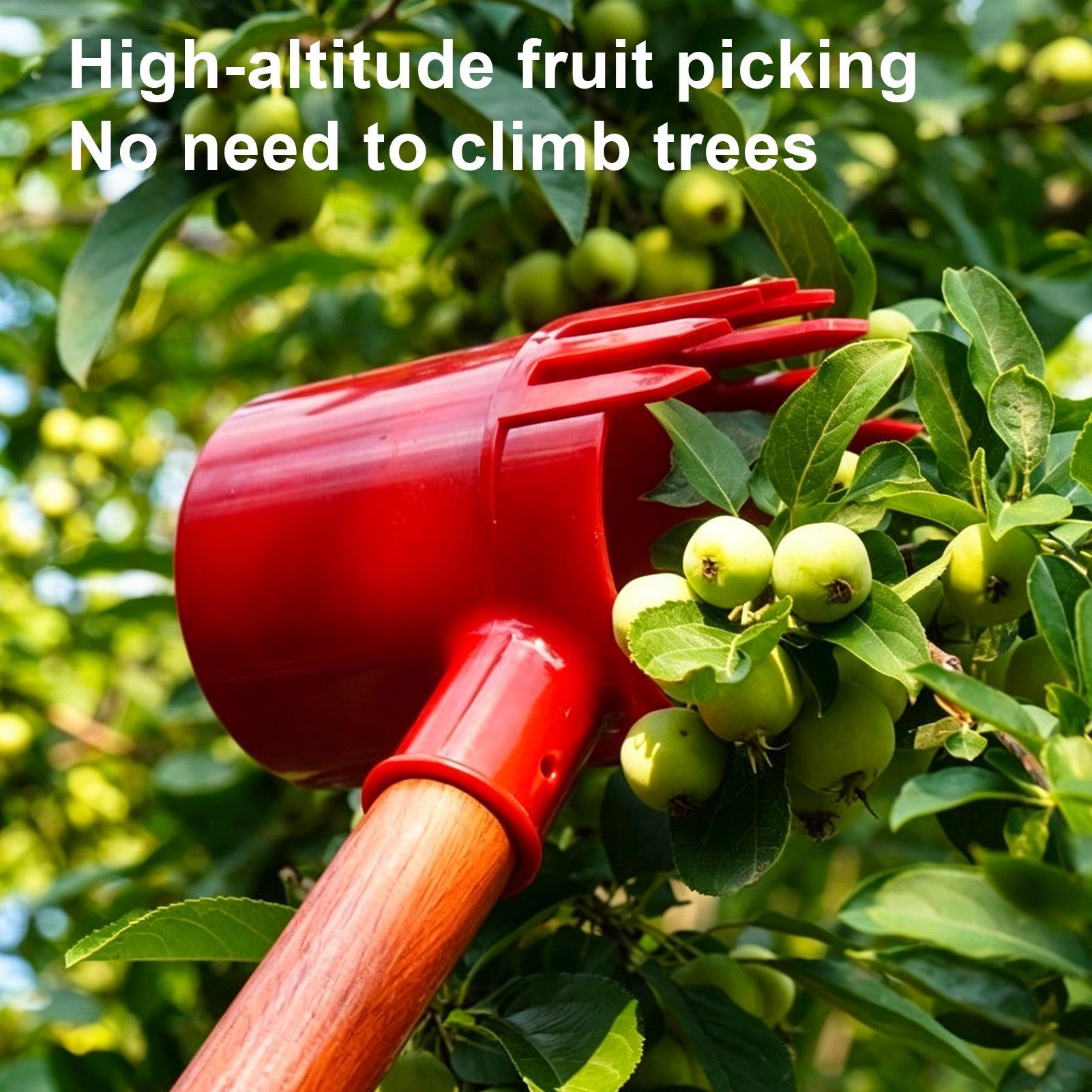 Fruit Harvester Tool Thickened - Gardening Tools Long ulasan dan harga