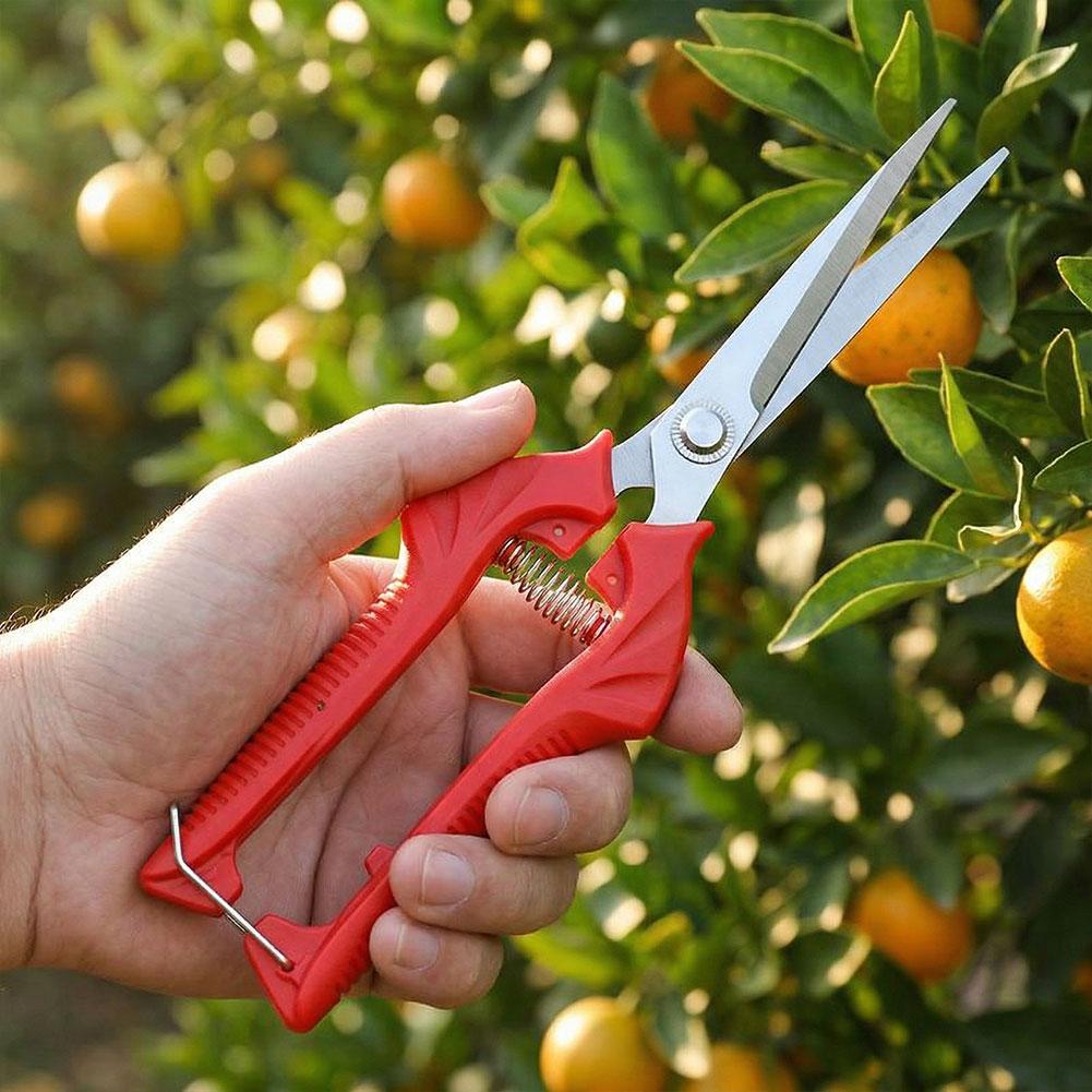One-handed Sharp Blade Pruning - Harvest Knife Garden ulasan dan harga
