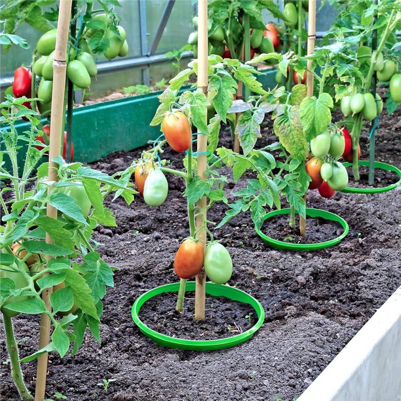 LIKE WISH Permanent Plant Grow - Gardening Tools For Weeds ulasan dan harga
