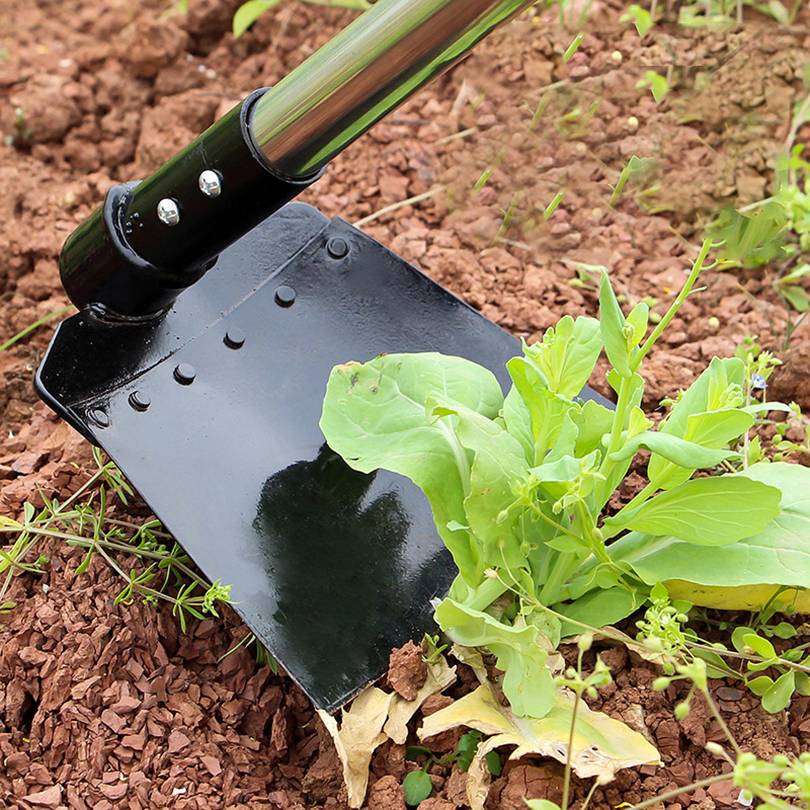 Weeding Sickle Hoe Adjustable  - Gardening Tools Long ulasan dan harga