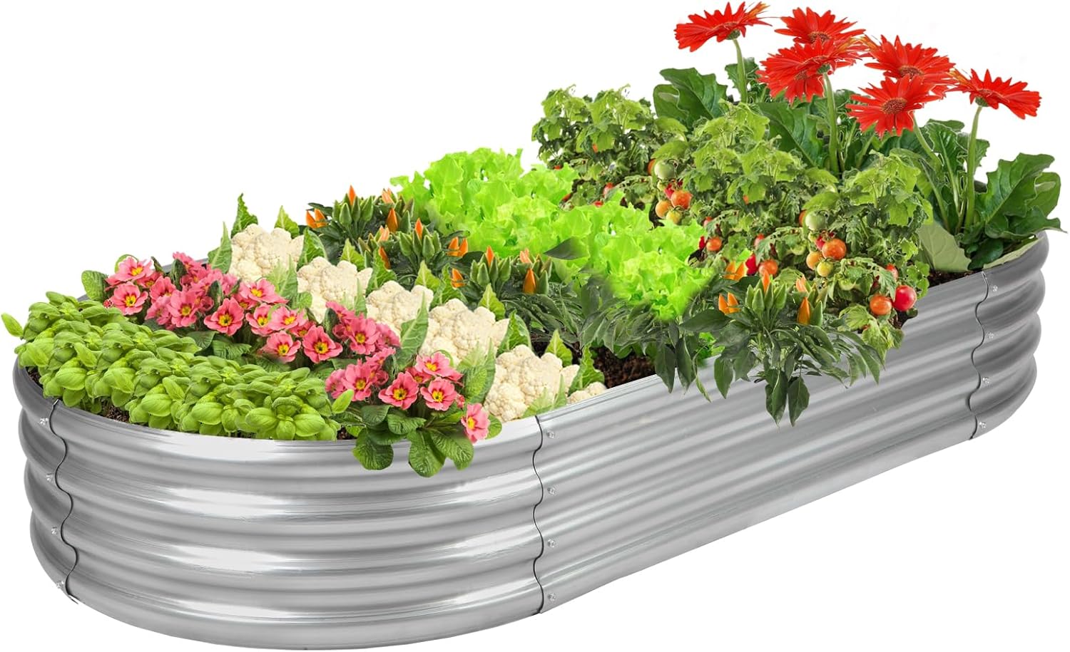 Raised Garden Bed GRS Certifie - Raised Bed Planter Box ulasan dan harga