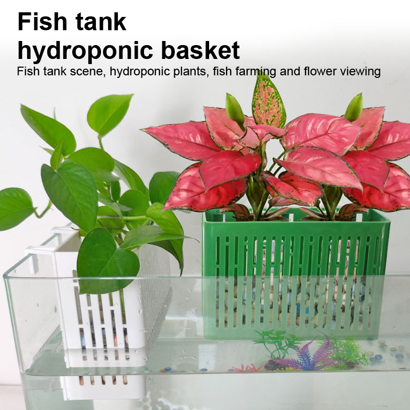 【F】Fish Tank Hanging Planter A - Aquaponics Fish Tank ulasan dan harga