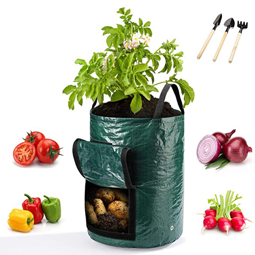 1pc 10-Gallon Grow Bags For Ve - Outdoor Planting Bag ulasan dan harga